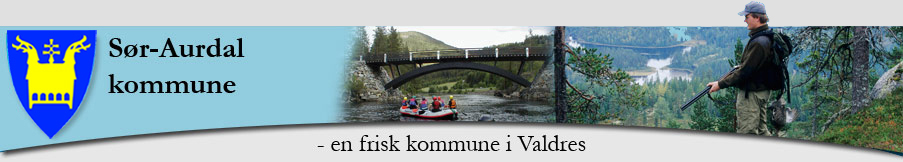 Sør-Aurdal kommune